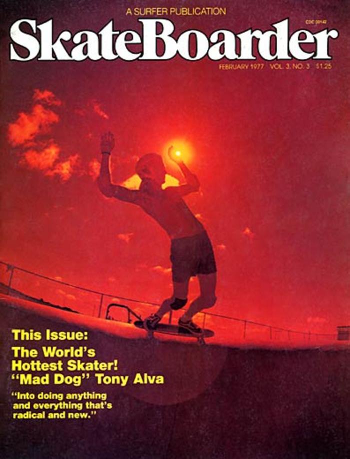 Skateboarder