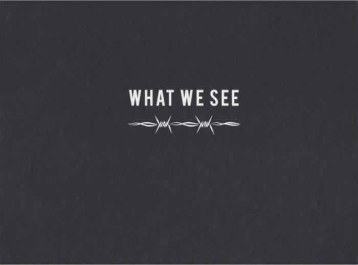 What We See
