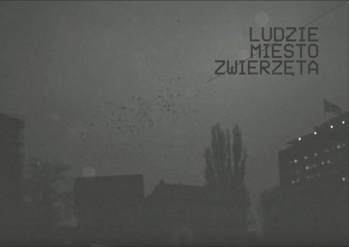 Ludzie Miesto Zwierzęta