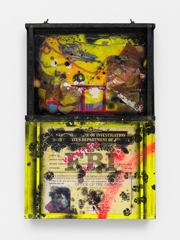 Untitled (Case of Assassination) 