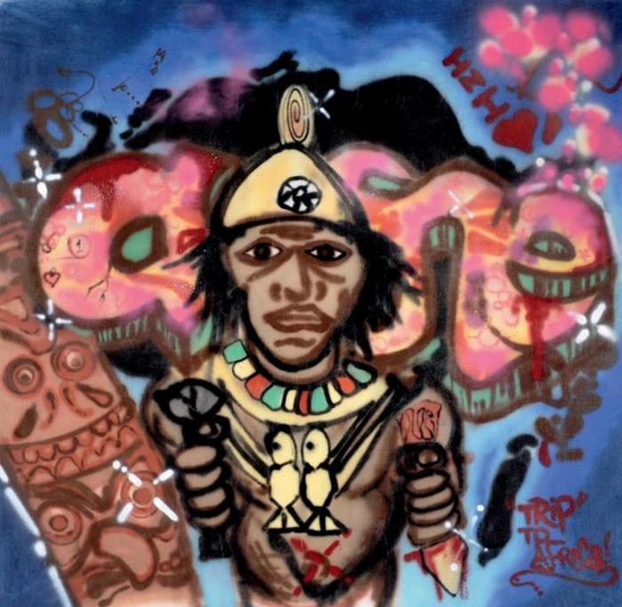 Trip to Africa