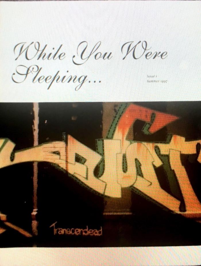 While You Were Spleeping;While You Were Sleeping