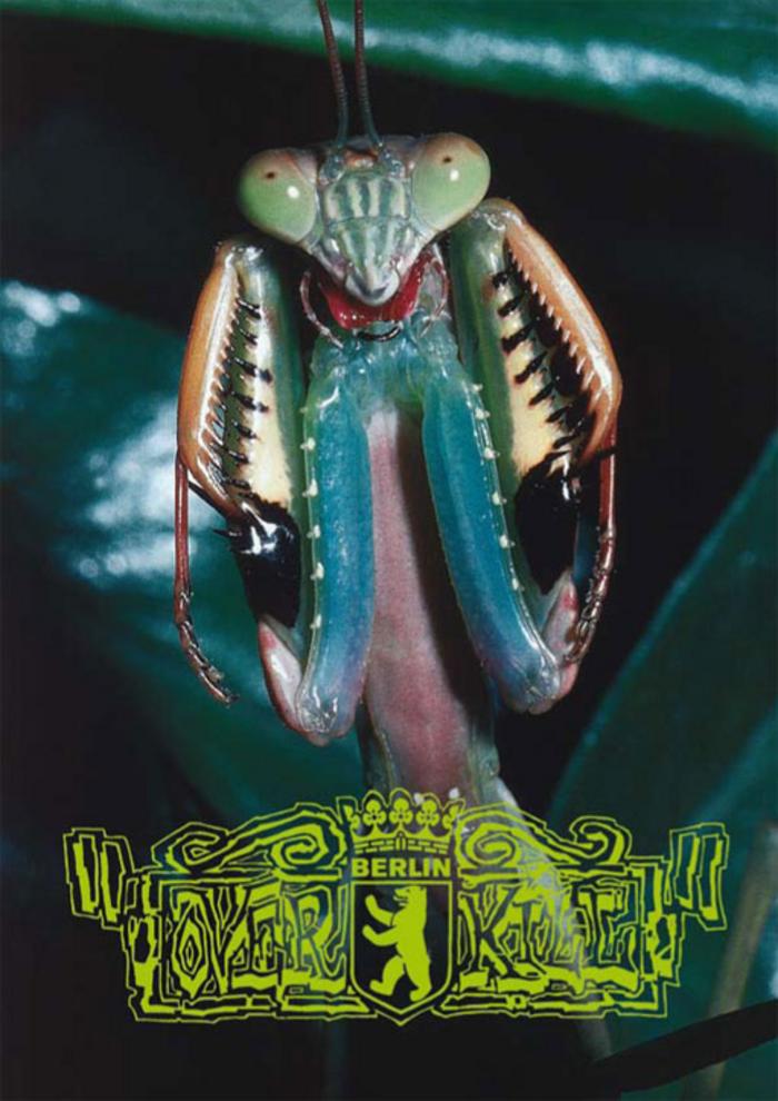 Overkill