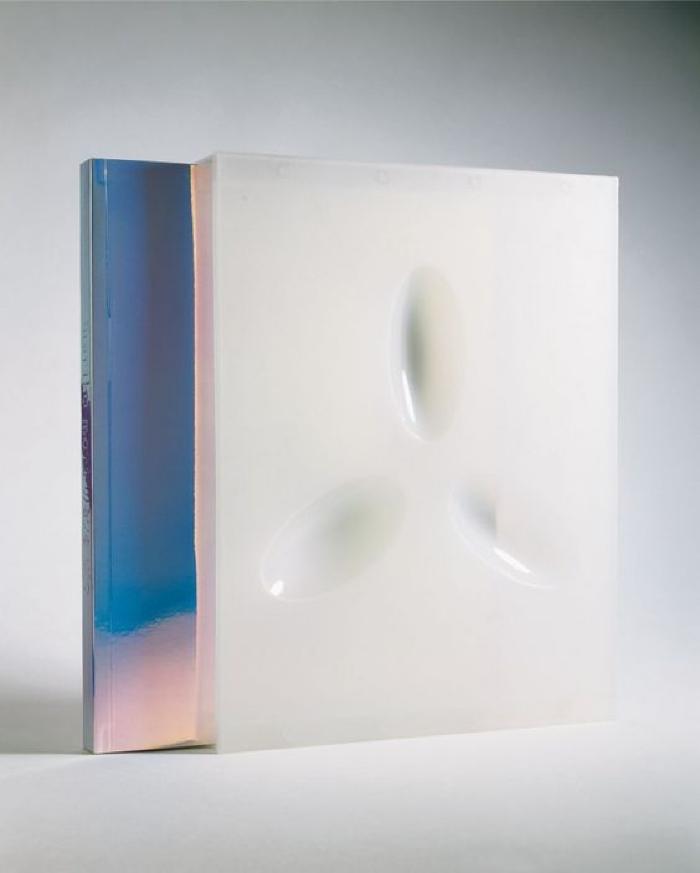 Mariko Mori: Wave Ufo