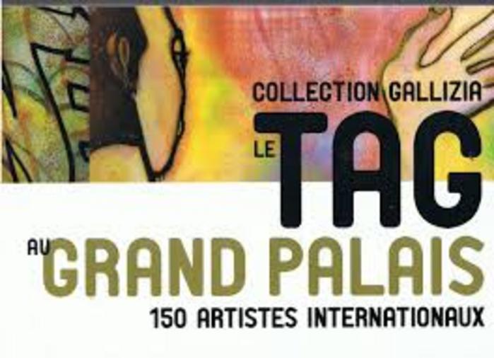 Le Tag Au Grand Palais: Collection Gallizia