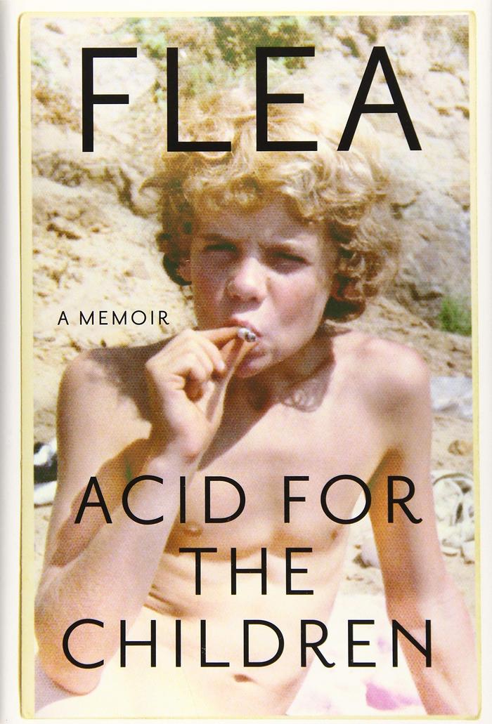 Acid for the Children: A Memoir