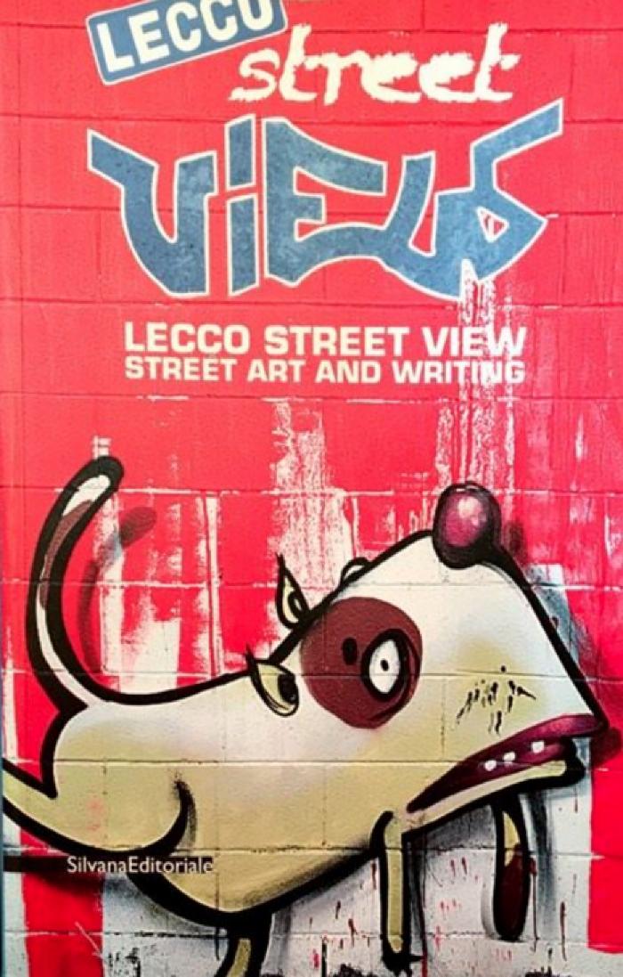 Street Views: Lecco street view, street art and writing